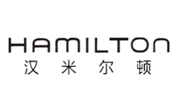 Hamilton汉密尔顿