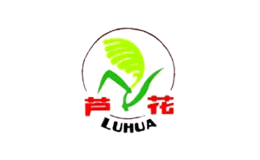 LUHUA芦花