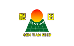 根田GENTIAN