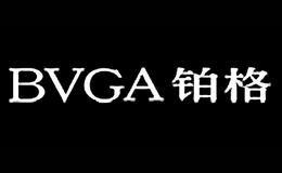 BVGA铂格