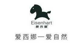 Eisenhart爱西娜