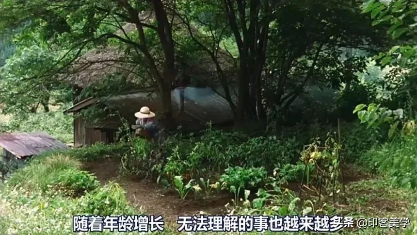 戳中泪点，10部治愈系高分电影