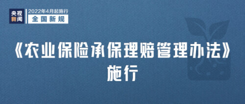 明天起，这些新规将影响你我生活