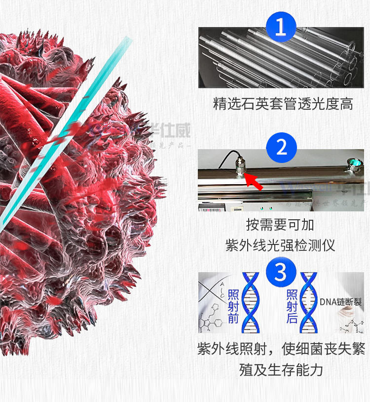 广东厂家水厂养殖杀菌器  UV紫外线杀菌器  游泳池用紫外线消毒器 304不锈钢材质不漏水示例图10